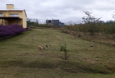 Terrenos - Yacanto - Venta