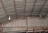 Galpones / Depósitos - Rosario - Venta