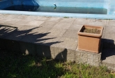Galpones / Depósitos - Rosario - Venta