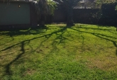 Galpones / Depósitos - Rosario - Venta