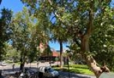 Oficinas - Rosario - Venta