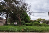 Terrenos - Alvarez - Venta