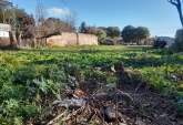 Terrenos - Bombal - Venta