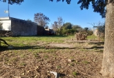 Terrenos - Bombal - Venta