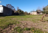 Terrenos - Bombal - Venta