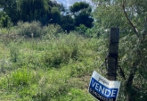Terrenos - Ibarlucea - Venta