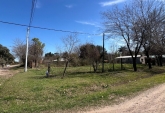 Terrenos - Ibarlucea - Venta