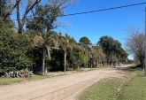 Terrenos - Ibarlucea - Venta