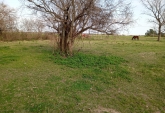Terrenos - Arroyo Seco - Venta