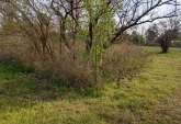 Terrenos - Arroyo Seco - Venta