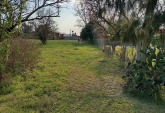 Terrenos - Arroyo Seco - Venta