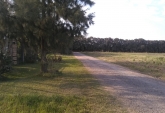 Terrenos - Arroyo Seco - Venta
