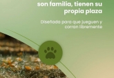 Terrenos - Alvear - Venta