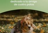 Terrenos - Alvear - Venta