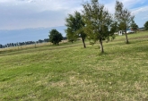 Terrenos - Ibarlucea - Venta