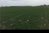 Campos - General Lagos - Venta