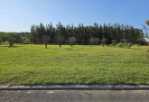 Terrenos - Fighiera - Venta
