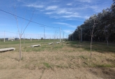 Terrenos - Rosario - Venta