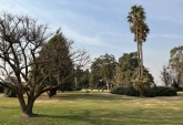 Terrenos - Roldan - Venta
