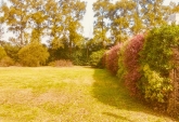 Terrenos - General Lagos - Venta