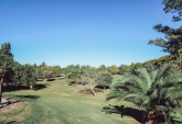 Terrenos - Fighiera - Venta
