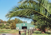 Terrenos - Fighiera - Venta