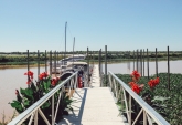Terrenos - Fighiera - Venta