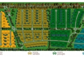 Terrenos - Fighiera - Venta
