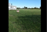 Terrenos - Oliveros - Venta