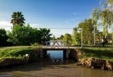 Terrenos - Oliveros - Venta