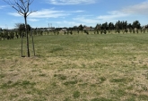 Terrenos - Rosario - Venta