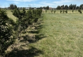 Terrenos - Rosario - Venta