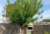 Casas - Venta