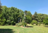 Campos - San Jeronimo Sur - Venta