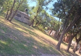 Terrenos - Andino - Venta