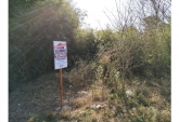 Terrenos - Oliveros - Venta