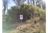 Terrenos - Oliveros - Venta