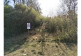 Terrenos - Oliveros - Venta