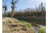 Terrenos - Oliveros - Venta