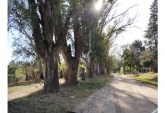 Terrenos - Oliveros - Venta