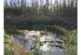 Terrenos - Oliveros - Venta