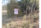 Terrenos - Oliveros - Venta