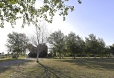 Terrenos - Piero - Venta