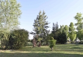 Terrenos - Piero - Venta