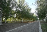 Terrenos - Piero - Venta