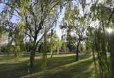Terrenos - Piero - Venta