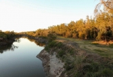 Terrenos - Iriondo - Venta