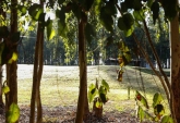 Terrenos - Iriondo - Venta