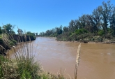 Terrenos - Carcaraa - Venta