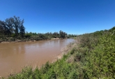 Terrenos - Carcaraa - Venta